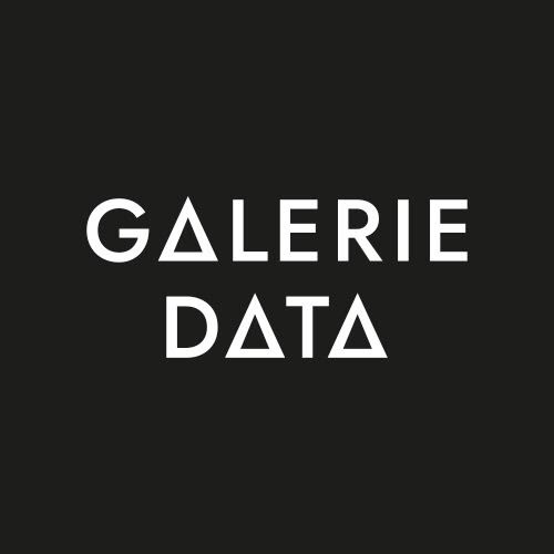 logo galerie data